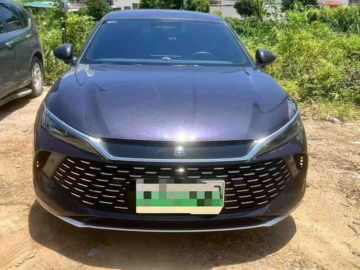 Qin L 2025 DM-i smart driving version 80KM leading model