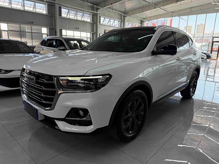 Haval H6 2021 National Fashion Edition 1.5T Automatic Champion Edition