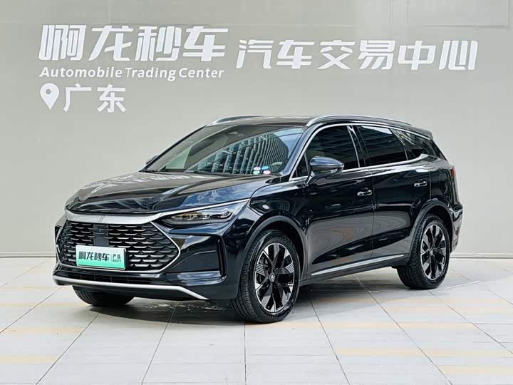 Tangxin Energy 2024 DM-i Honor Edition 112KM Flagship Model