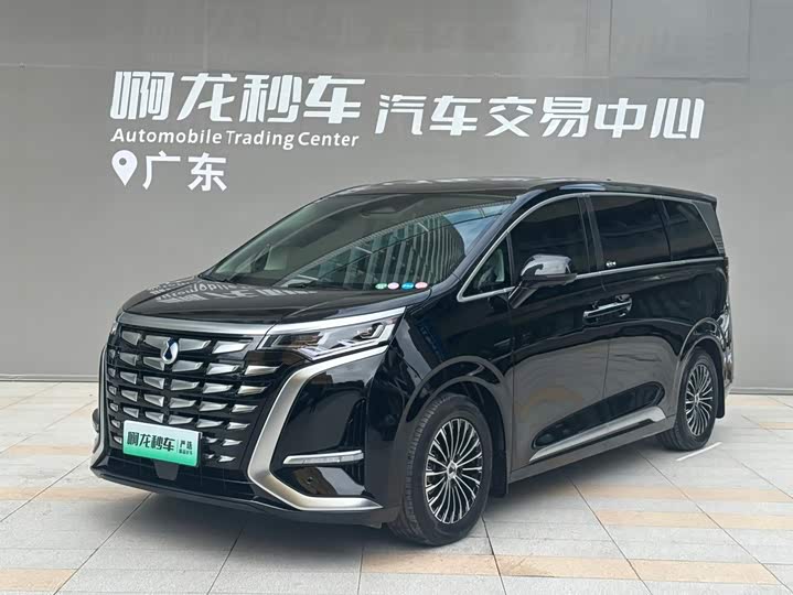Denza D9 2024 DM-i 980 four-wheel drive premium model