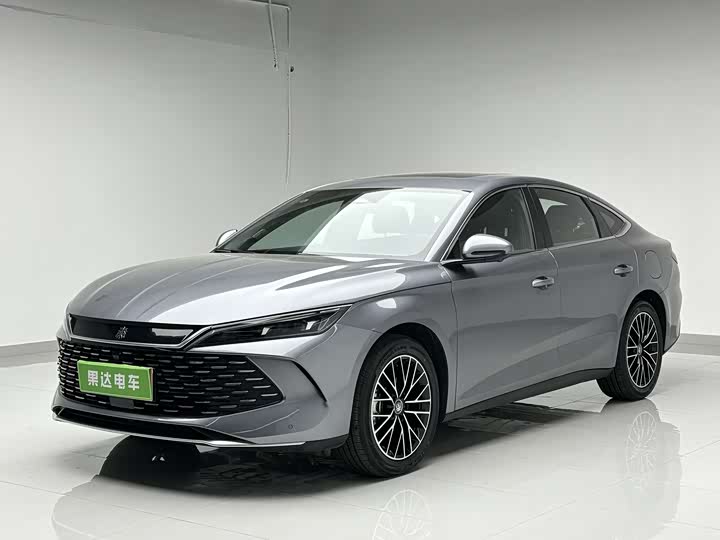 Qin L 2024 DM-i 120KM Excellent Type