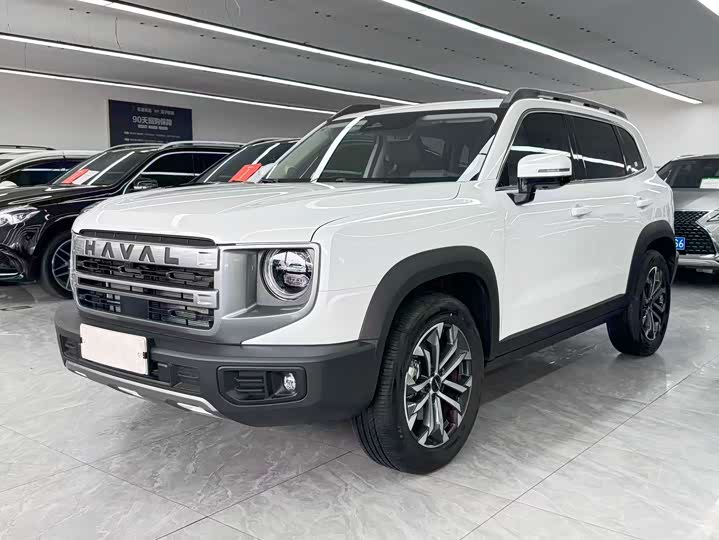 Haval Big Dog 2024 1.5T DCT Border Collie Edition