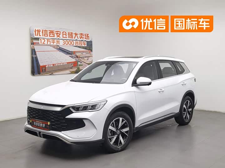Song Pro New Energy 2024 Honor Edition DM-i 110KM Transcendence