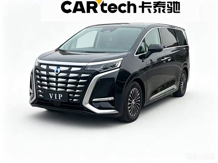 Denza D9 2024 DM-i 970 luxury model