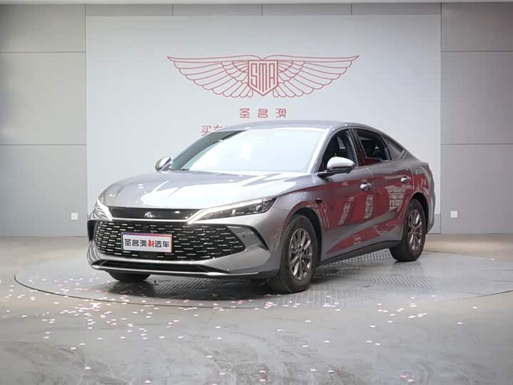 Qin L 2025 DM-i smart driving version 80KM leading model