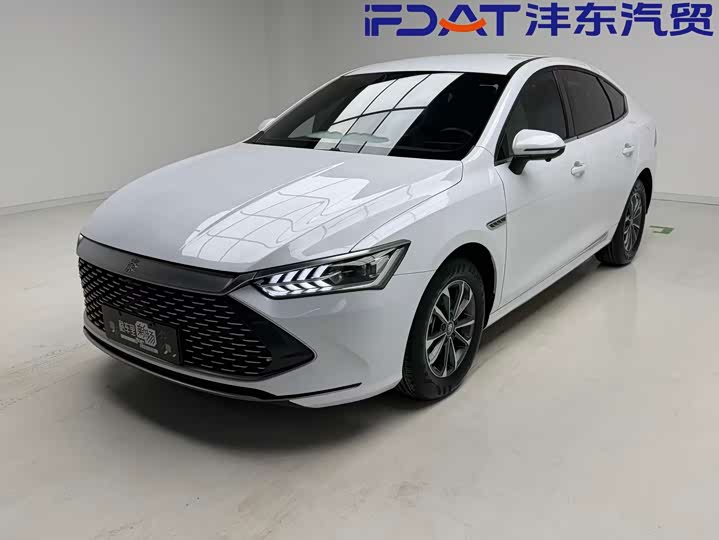 Qin PLUS 2024 Honor Edition DM-i 55KM Leading Type