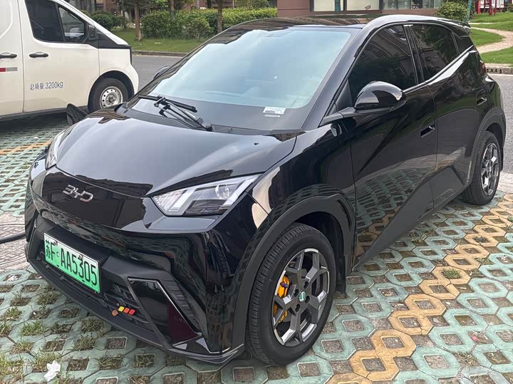 Seagull 2025 305km active version