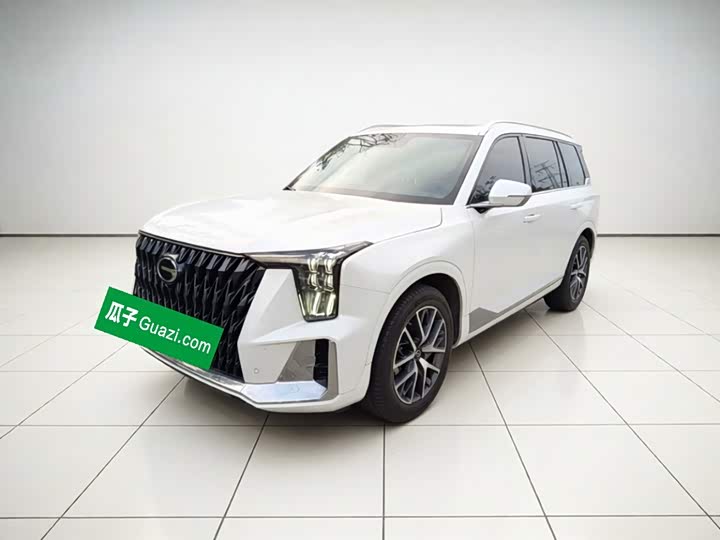 Trumpchi GS8 2022 Dual Engine Series 2.0TM Two-wheel drive Premium Edition (seven seats)