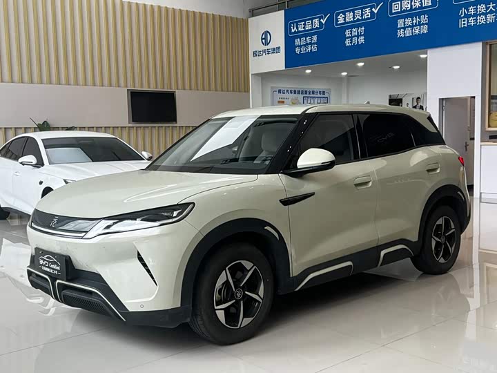 Yuan UP 2024 model 401KM leading model