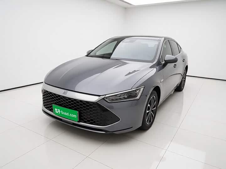 Qin PLUS 2024 Honor Edition DM-i 55KM Leading Type