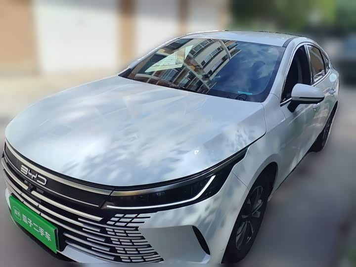 Destroyer 05 2024 Honor Edition DM-i 55KM Luxury Type