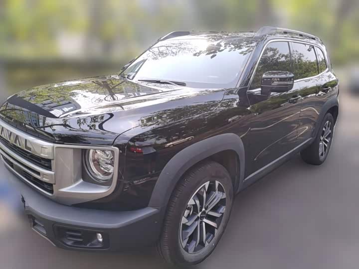 Haval Big Dog 2024 1.5T DCT Border Collie Edition