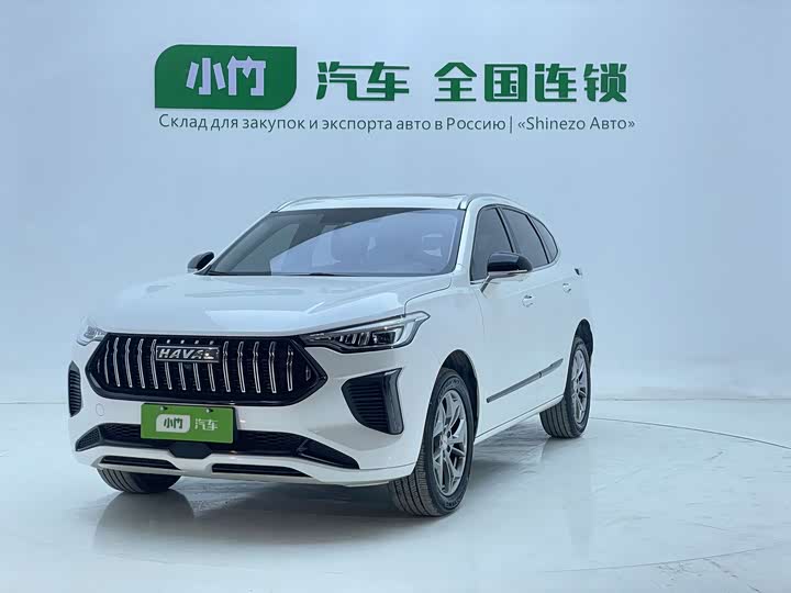 Haval Red Rabbit 2023 1.5T Excellent Model