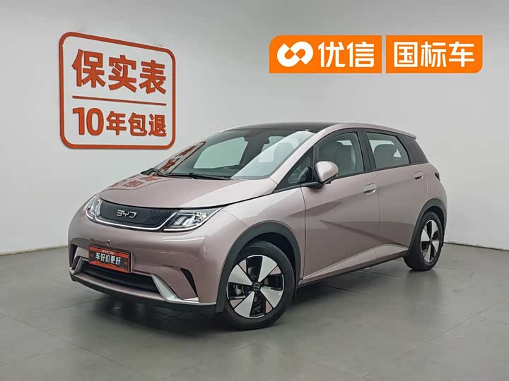 BYD Dolphin 2023 420km Fashion Edition
