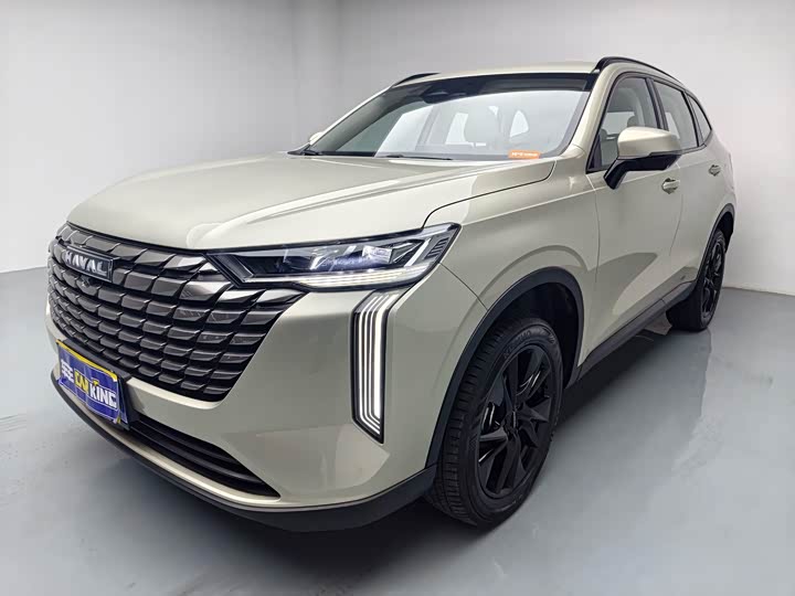 Haval H6 2024 1.5T two-wheel drive Ultra