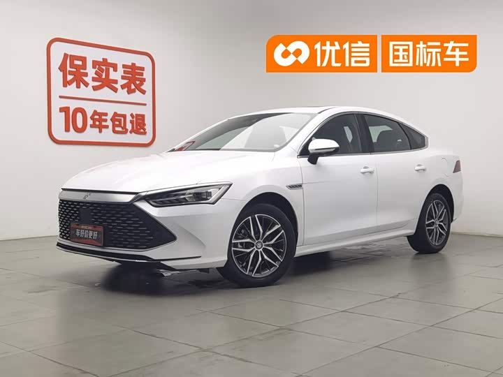 Qin PLUS 2023 Champion Edition DM-i 120KM Excellent Type