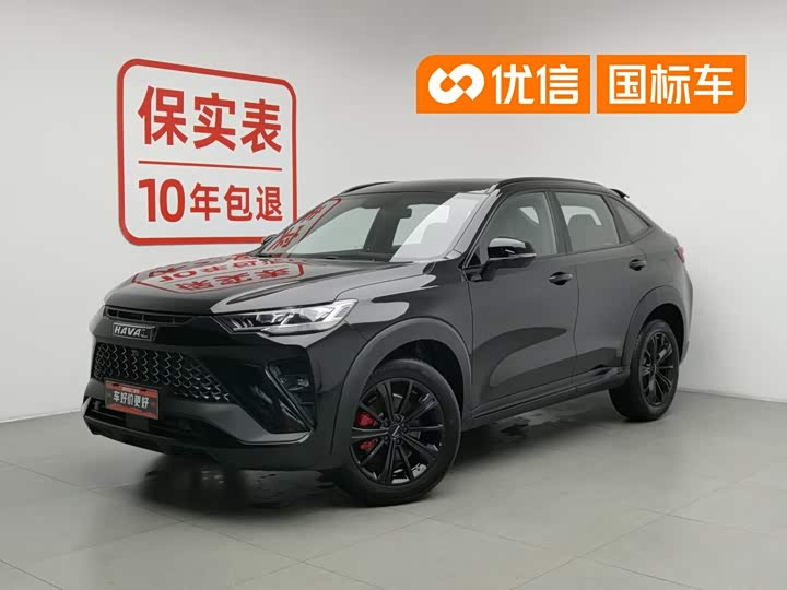 Haval H6S 2022 2.0T two-wheel drive Yuepao version