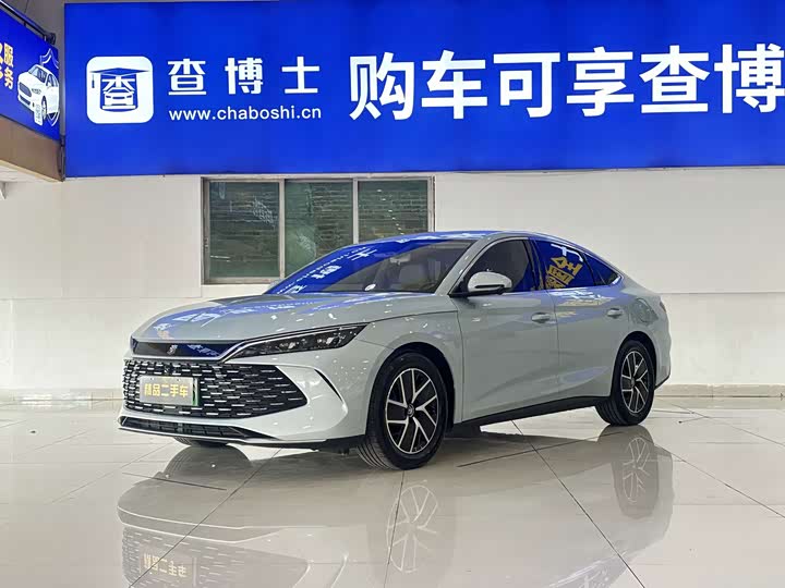 Qin L 2024 DM-i 80KM transcendent model