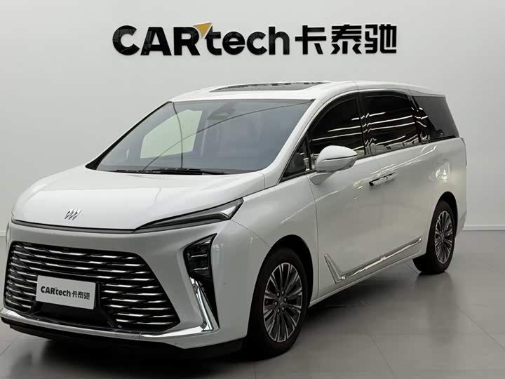 Buick GL8 2025 Lu Zun Exclusive Edition