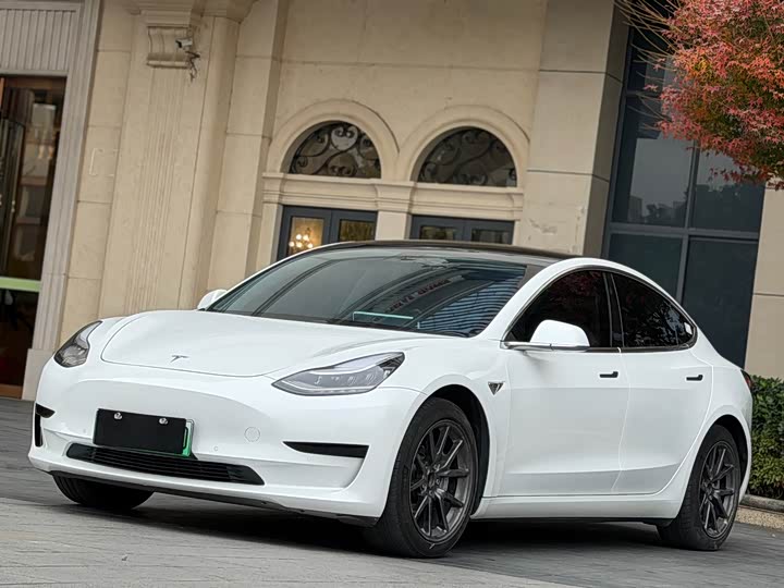 Model 3 2020 Standard Range Rear Drive Upgraded Version