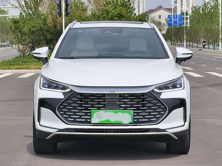 Tangxin Energy 2024 DM-p Champion Edition 215KM four-wheel drive exclusive model