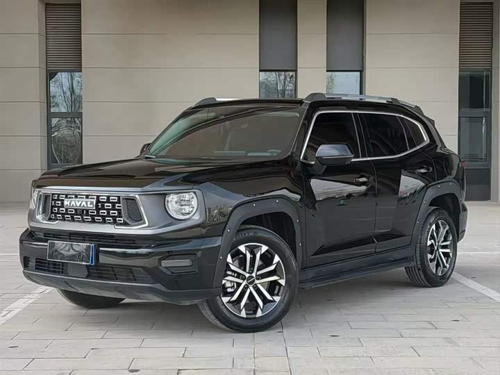 2024 Haval Big Dog PLUS 2023 1.5T two-wheel drive trendy version Plus