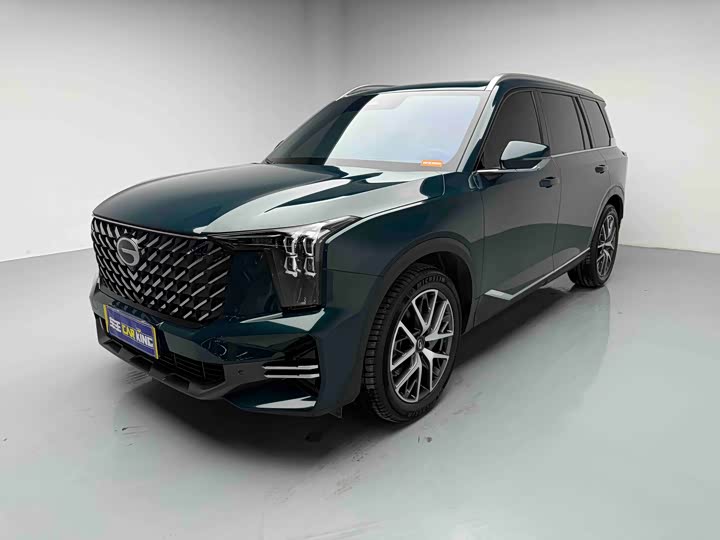 Trumpchi GS8 2025 Pilot Series 2.0TGDI two-wheel drive luxury version 5 seats