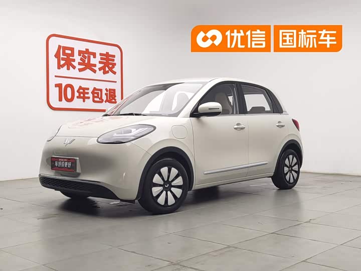 Wuling Bingo 2024 model 333km Yuexiang model