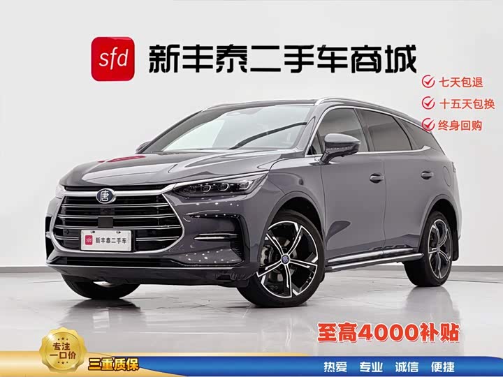 Tangxin Energy 2021 DM-i 112KM Honor Type