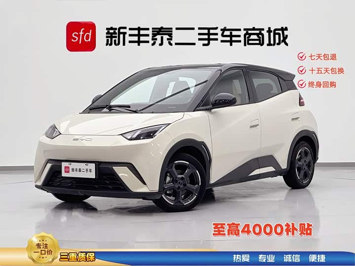 Seagull 2024 Honor Edition 305km Free Edition