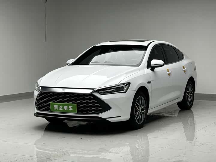 Qin PLUS 2023 Champion Edition DM-i 120KM Transcendence